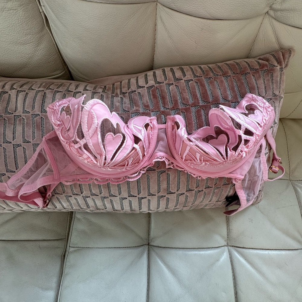 Honey Birdette Pink Sheer Lace Bra